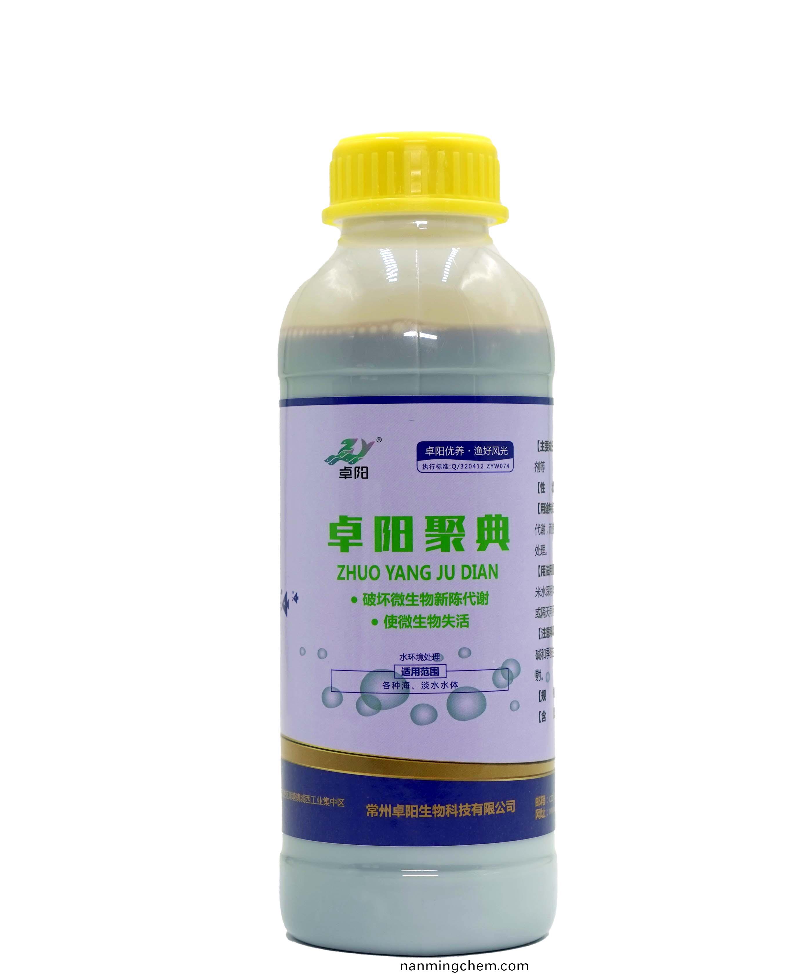 卓陽(yáng)聚點(diǎn)